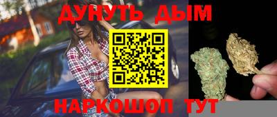 прущие грибы Балашиха