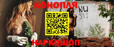 прущие грибы Балашиха