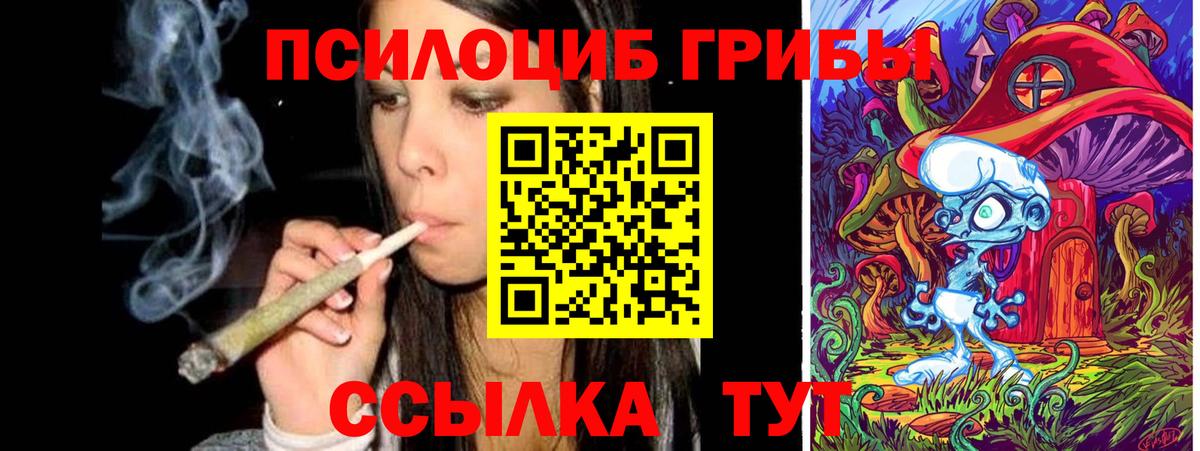 Псилоцибиновые грибы GOLDEN TEACHER  Вход с VPN  Егорьевск 