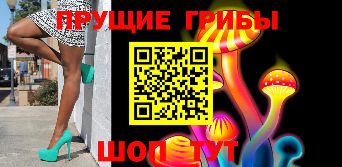 Галлюциногенные грибы Cubensis Егорьевск